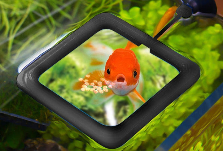 BowLift | Creative Aquarium Floating Fish Feeder Tray