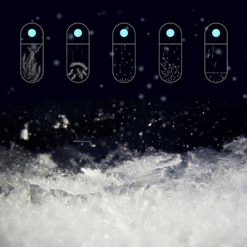 BowLift | Wooden Weather Forecast Crystal Glass