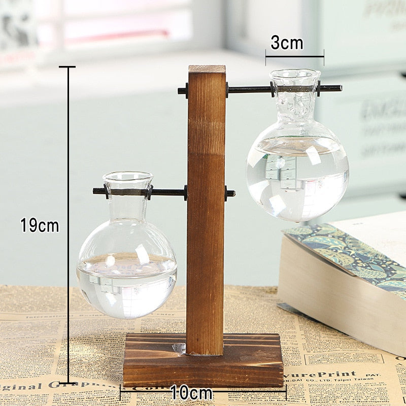 BowLift | Terrarium Hydroponic Vintage Tabletop Vase