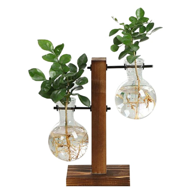BowLift | Terrarium Hydroponic Vintage Tabletop Vase