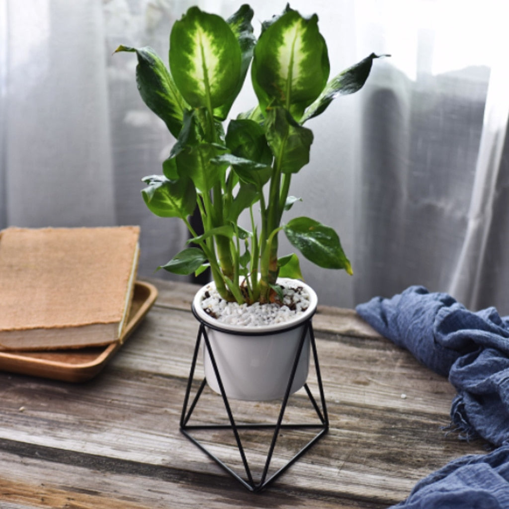 BowLift | Nordic Style Geometric Iron Rack Flower Pots