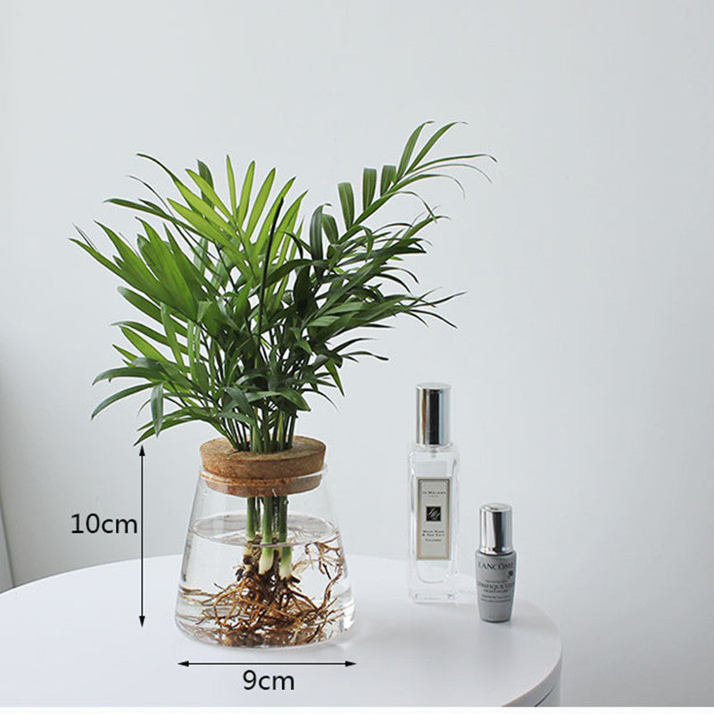 BowLift | Nordic Transparent Glass Wooden Flower Vase
