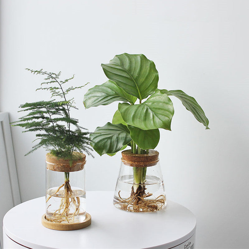 BowLift | Nordic Transparent Glass Wooden Flower Vase