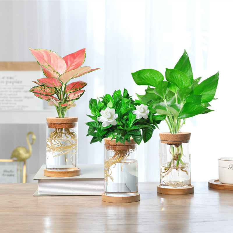 BowLift | Nordic Transparent Glass Wooden Flower Vase