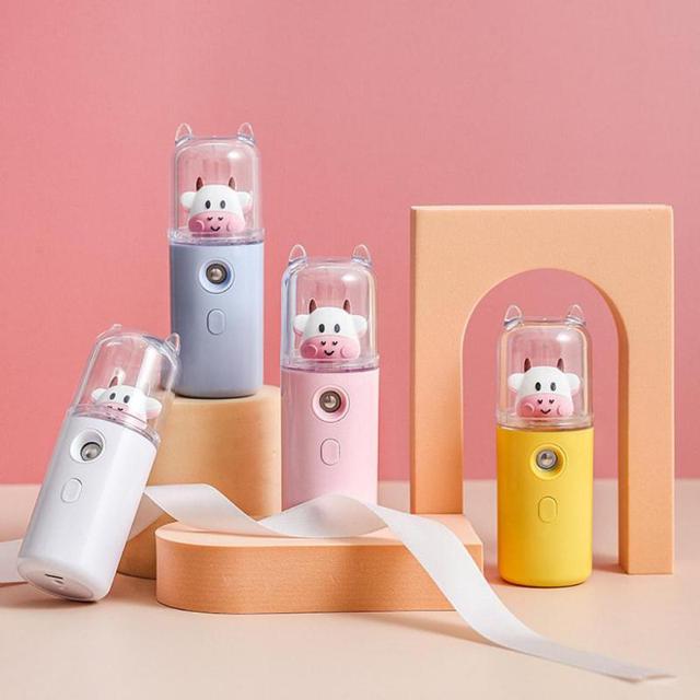 BowLift | USB Cartoon Animal Rechargeable Mini Face Steamer