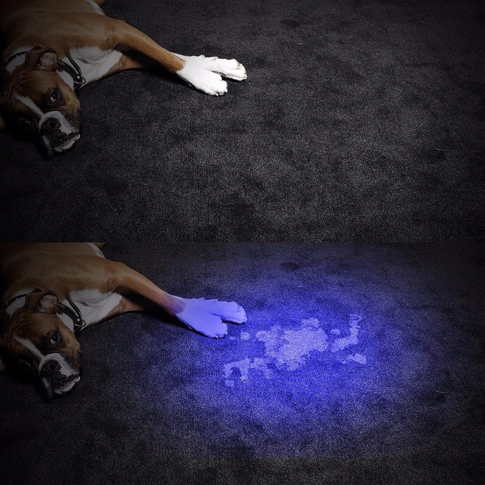HiLight - LED UV Detection Flash Light | Bowlift