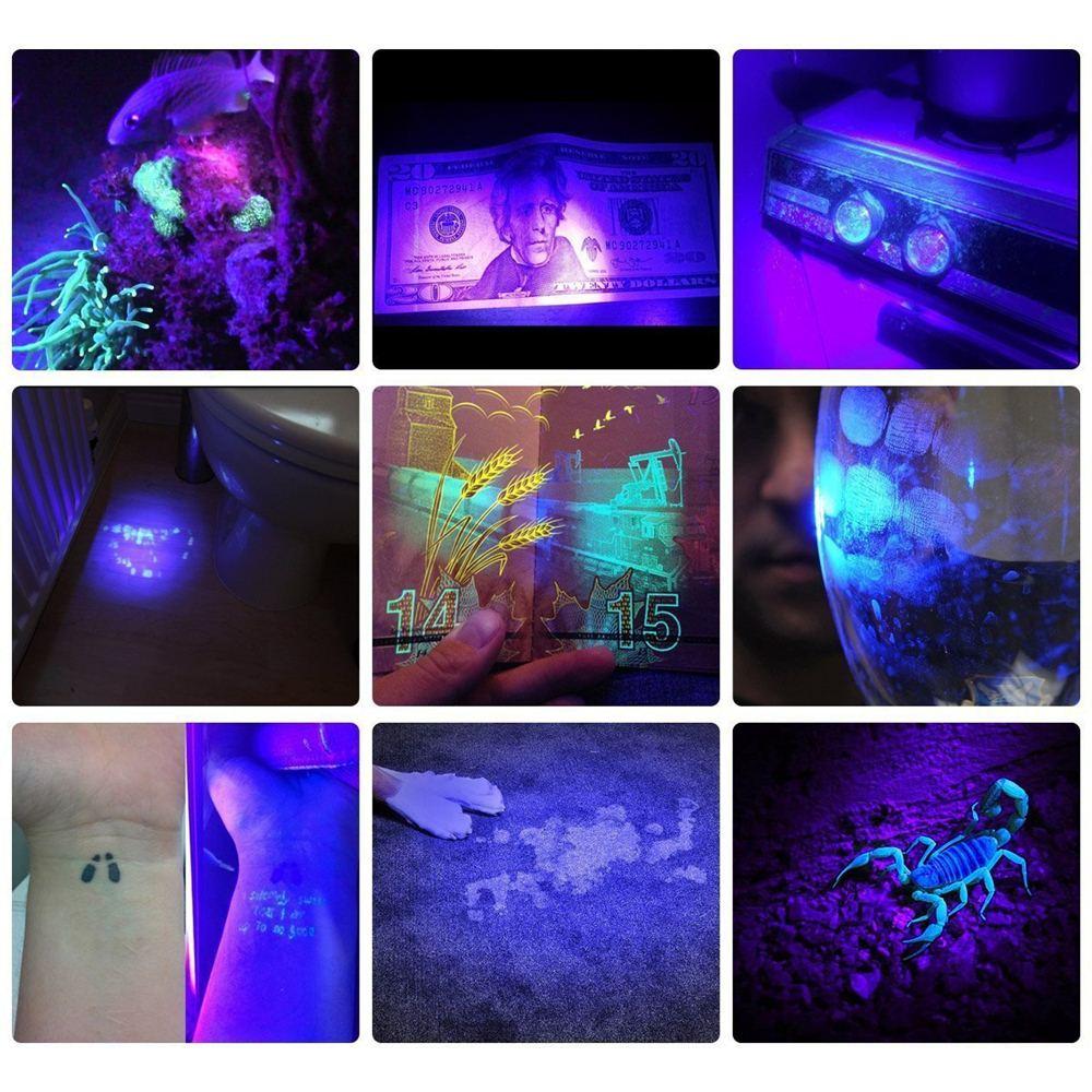 HiLight - LED UV Detection Flash Light | Bowlift