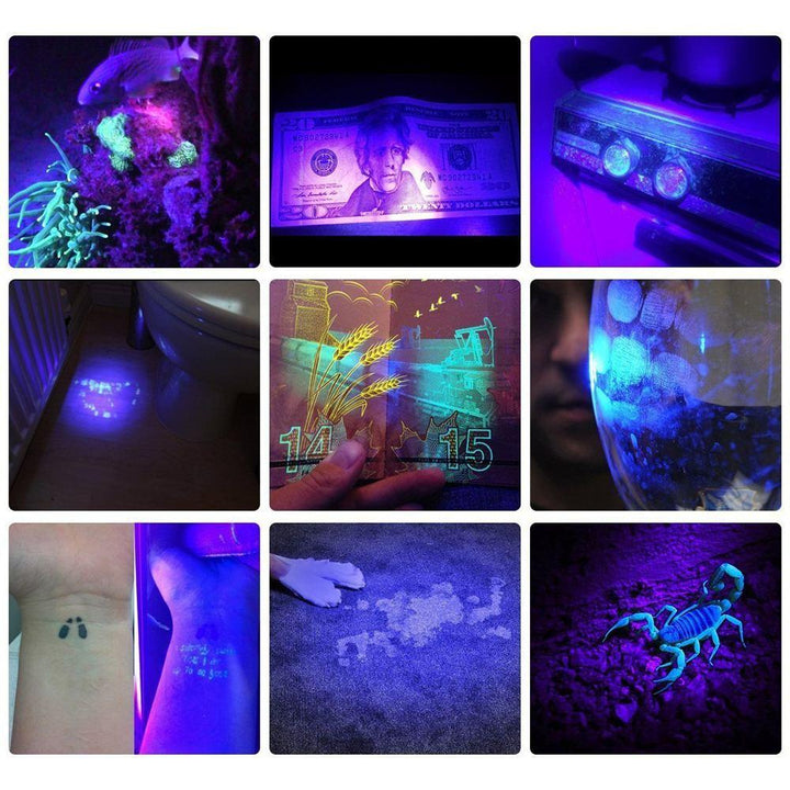 HiLight - LED UV Detection Flash Light | Bowlift