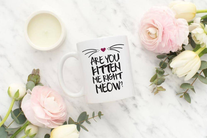 BowLift | Are you kitten me right now Ceramic Mug