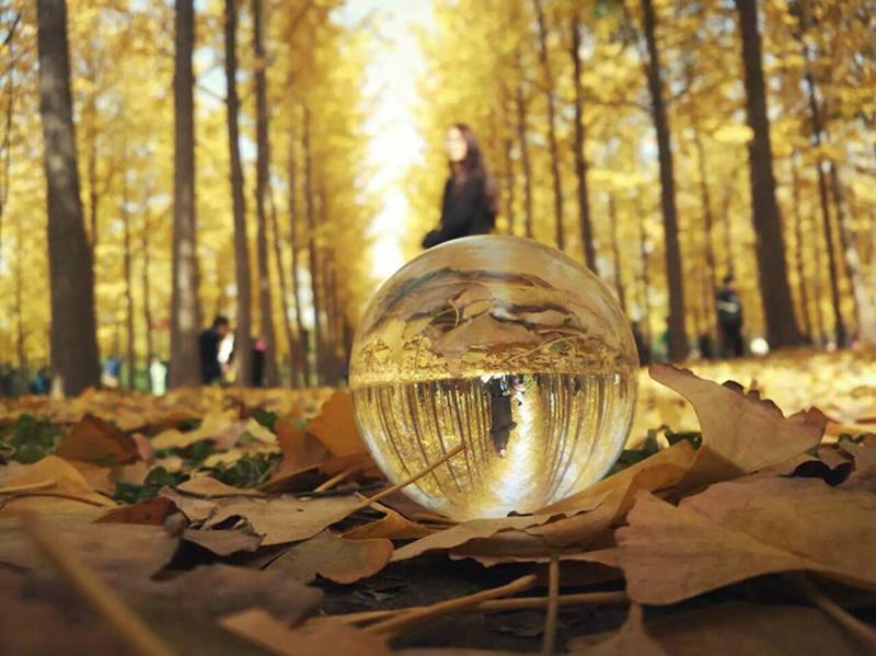 BowLift | Photography Glass Sphere