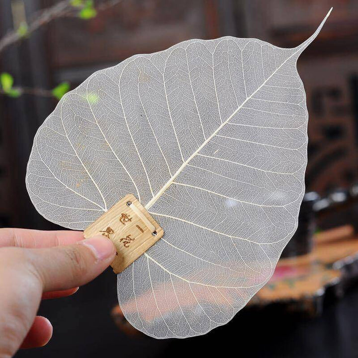 BowLift | Large Leaf Tea Filter