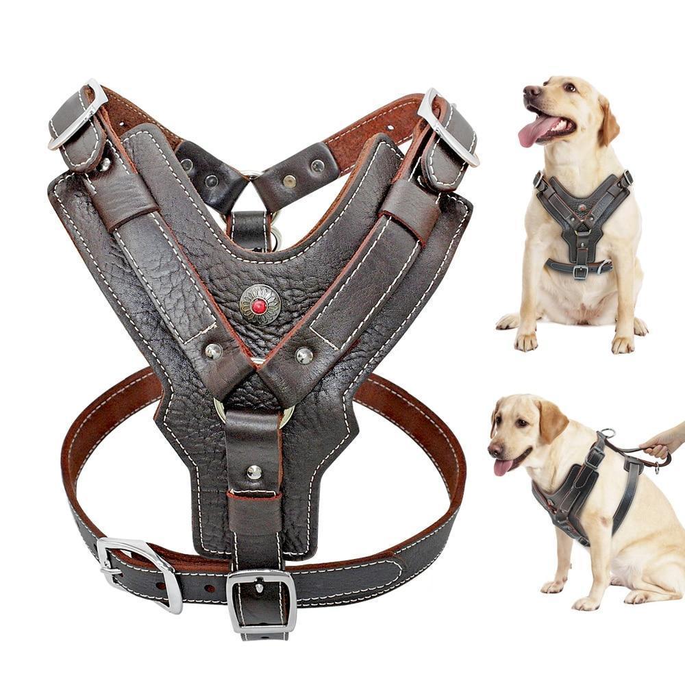 BowLift | Extra Large Genuine Leather Dog Harness