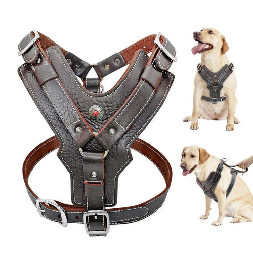 BowLift | Extra Large Genuine Leather Dog Harness