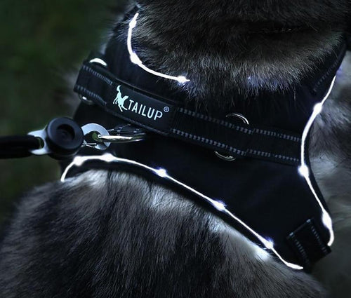 BowLift | No Pull Dog Harness Vest with LED Lamp