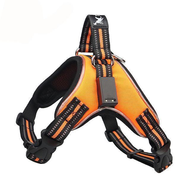 BowLift | No Pull Dog Harness Vest with LED Lamp