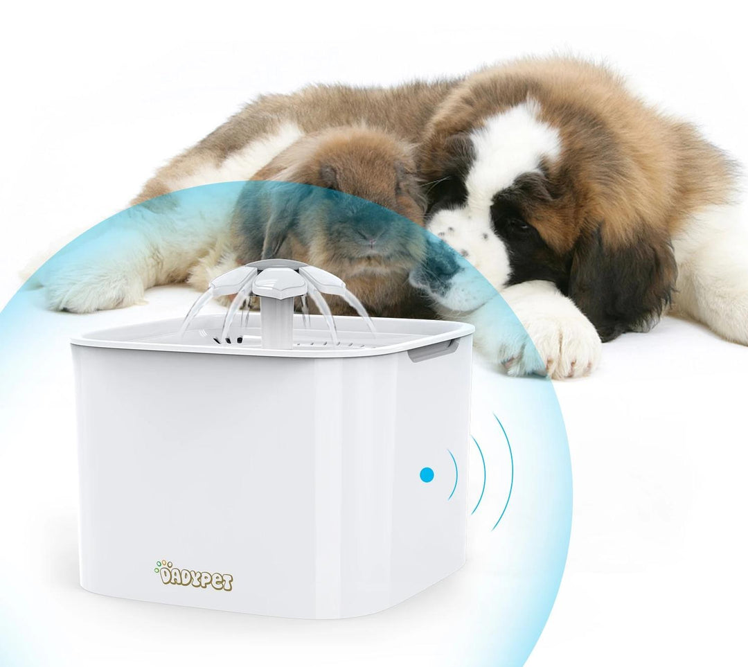 AutoDrinker - Pet Water Fountain | Bowlift