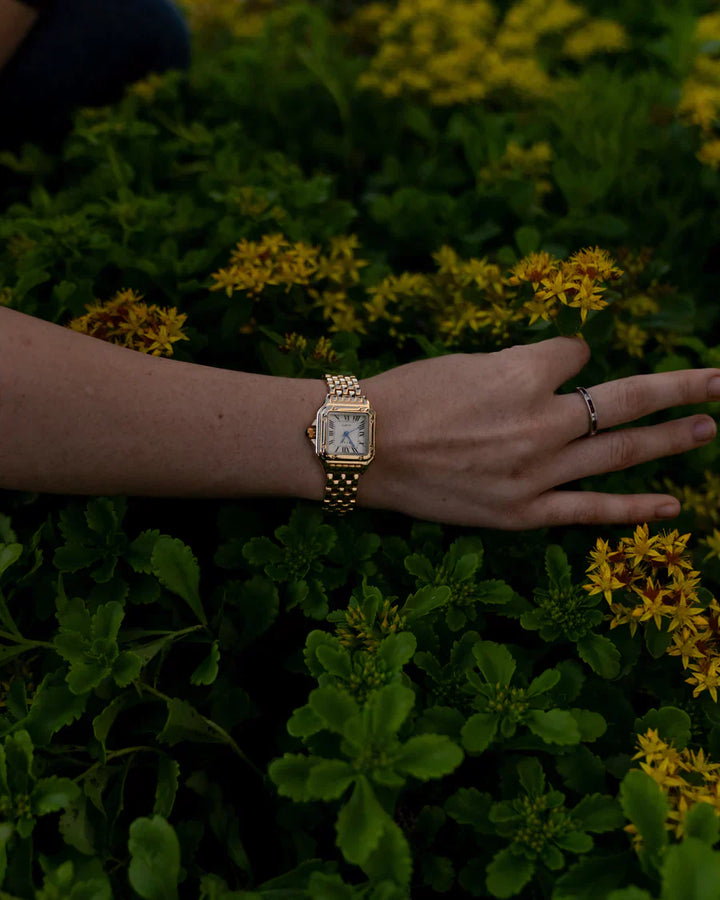 BowLift | High-Quality Vintage Watch