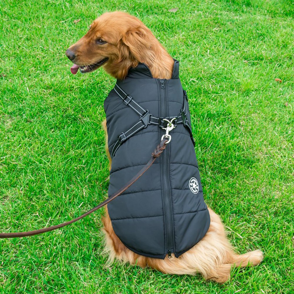 BowLift | WoofGuard - Waterproof Winter Jacket with Integrated Harness
