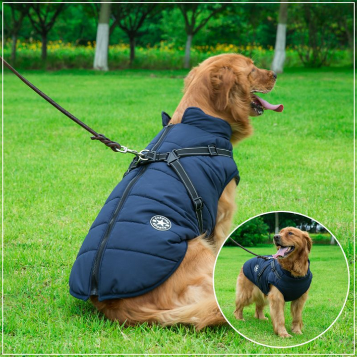 BowLift | WoofGuard - Waterproof Winter Jacket with Integrated Harness