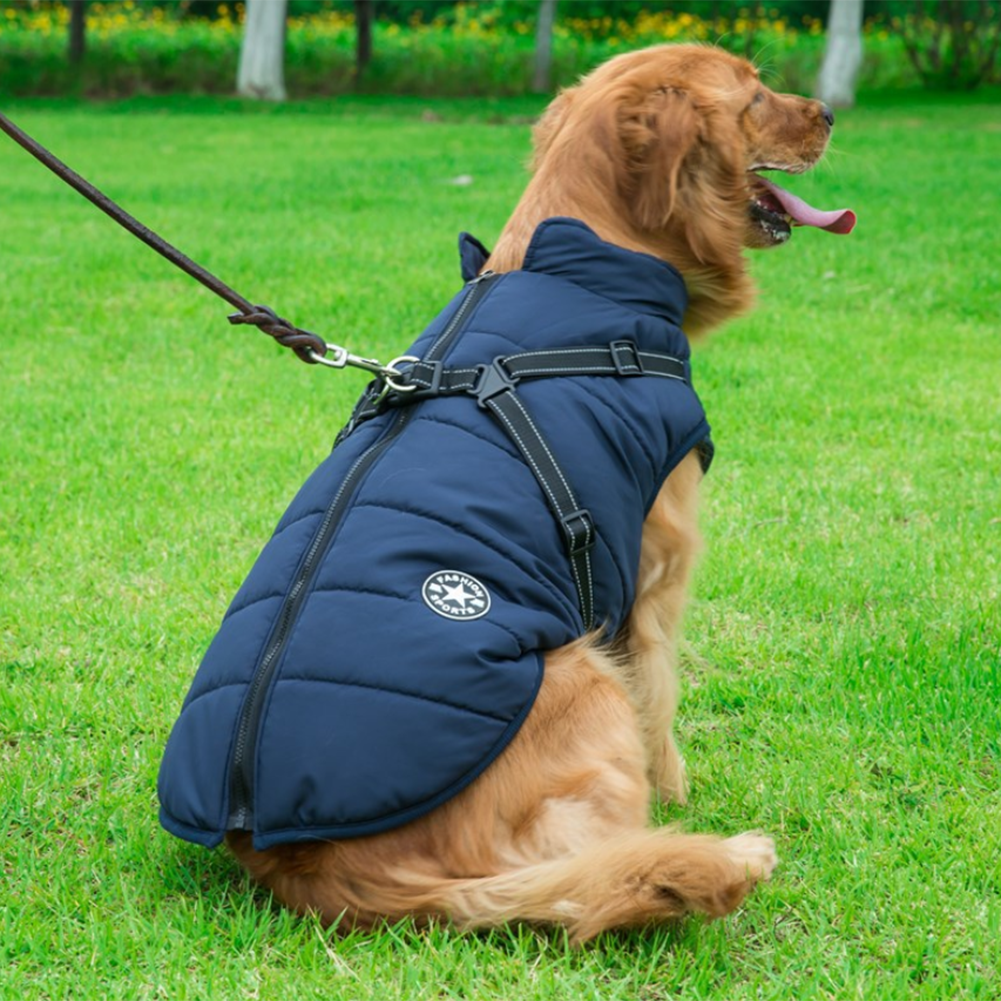 BowLift | WoofGuard - Waterproof Winter Jacket with Integrated Harness