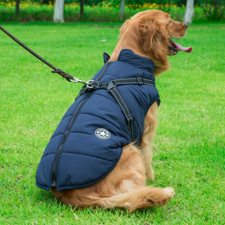 BowLift | WoofGuard - Waterproof Winter Jacket with Integrated Harness