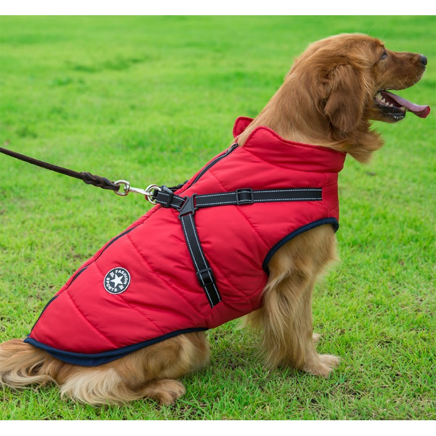 BowLift | WoofGuard - Waterproof Winter Jacket with Integrated Harness