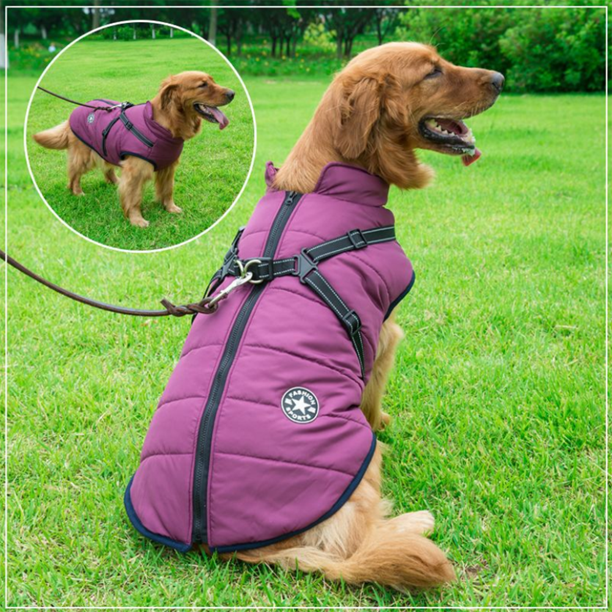 BowLift | WoofGuard - Waterproof Winter Jacket with Integrated Harness