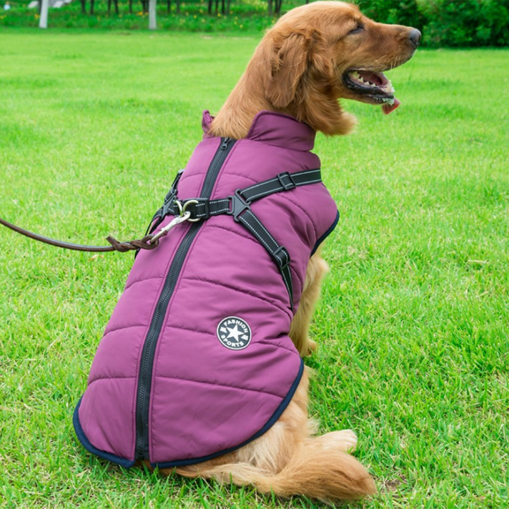 BowLift | WoofGuard - Waterproof Winter Jacket with Integrated Harness