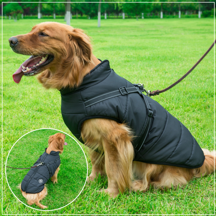 BowLift | WoofGuard - Waterproof Winter Jacket with Integrated Harness