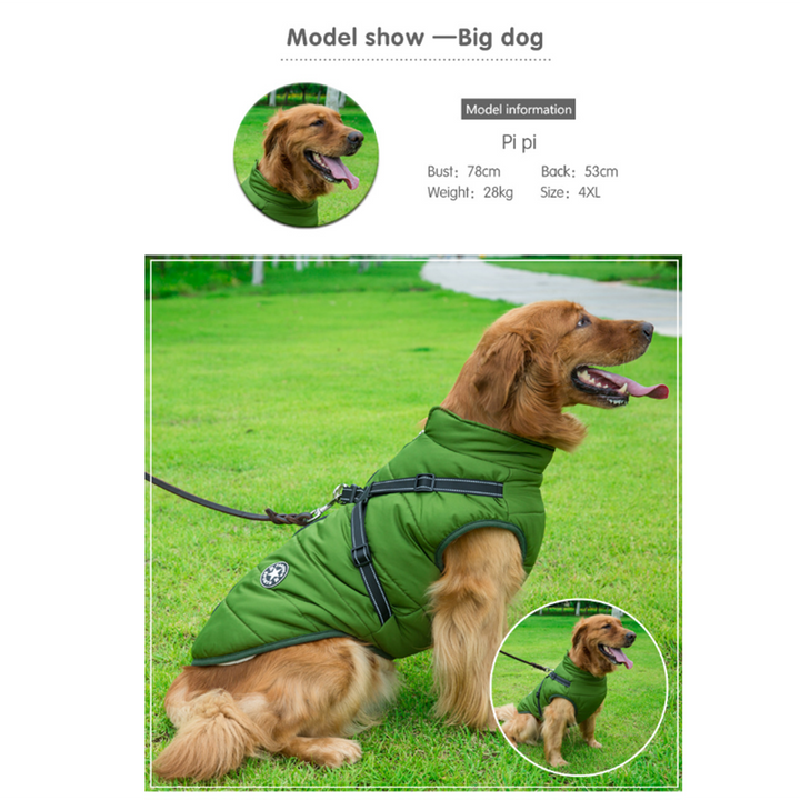 BowLift | WoofGuard - Waterproof Winter Jacket with Integrated Harness