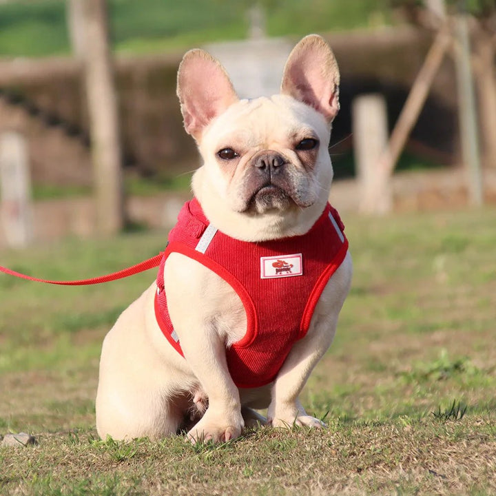 ReflectaHarness • No Pull Dog Harness - No Pull Dog Harness - BowLift