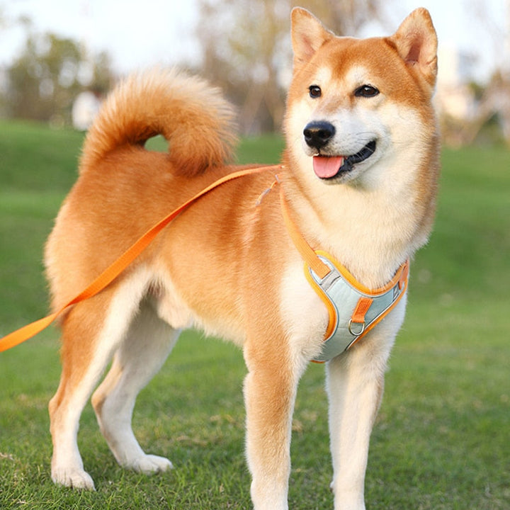 Reflective Puppy Harness - BrightPaw Bowlift