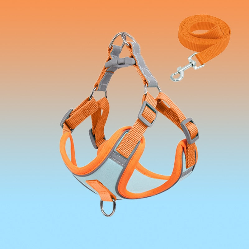 Reflective Puppy Harness - BrightPaw Bowlift