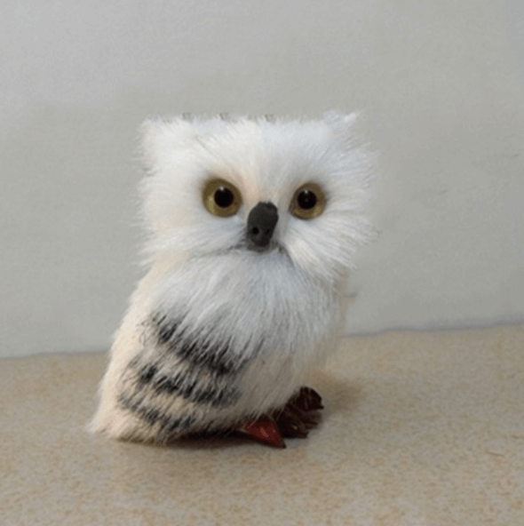 BowLift | Cute Owl Home Decor