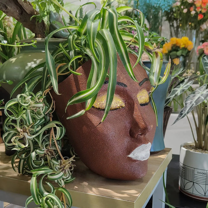 BowLift | Resin Human Face Hanging Planter - FaceVibe