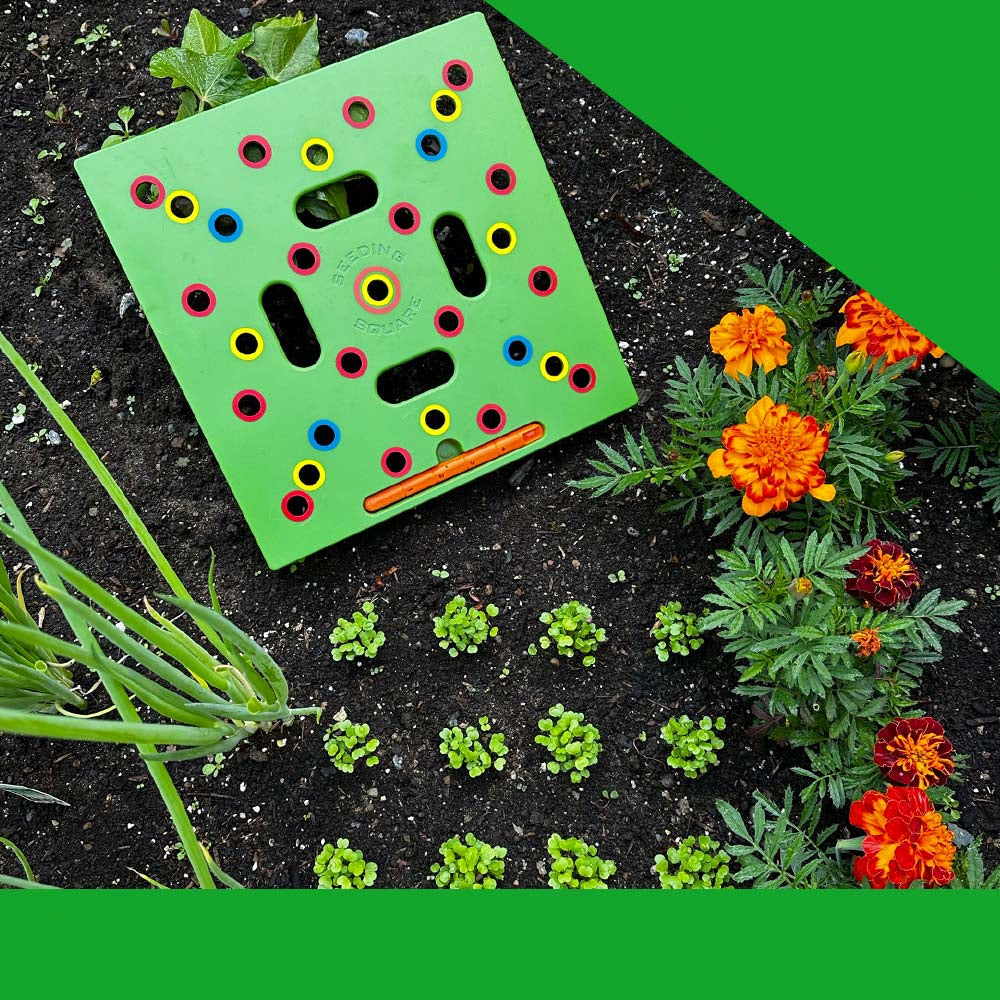 BowLift | GardenLux Elite Seed Starter Set | Transform your gardening experience with expert guidance and premium tools