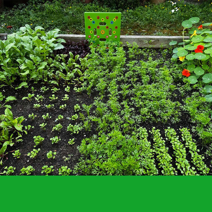 BowLift | GardenLux Elite Seed Starter Set | Transform your gardening experience with expert guidance and premium tools