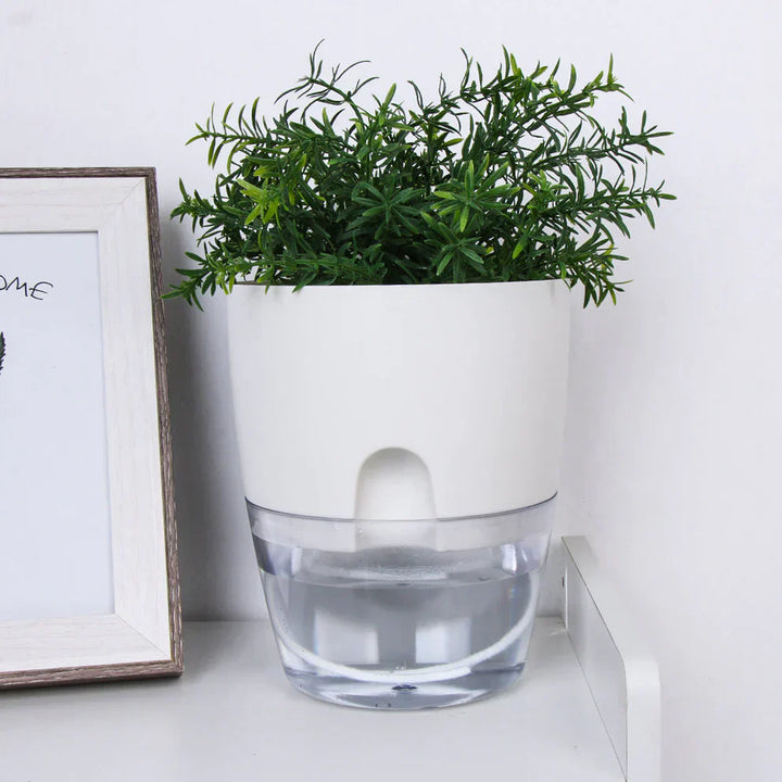 BowLift | Self-Watering Plant Pot - AquaBloom