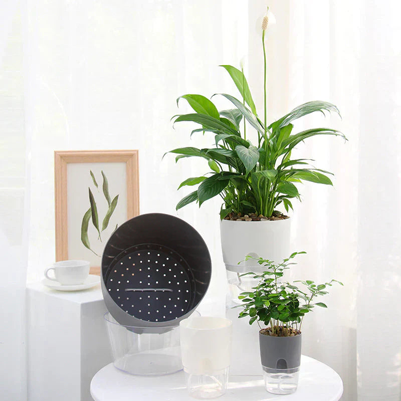 BowLift | Self-Watering Plant Pot - AquaBloom