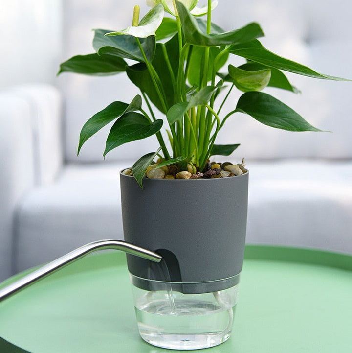 BowLift | Self-Watering Plant Pot - AquaBloom