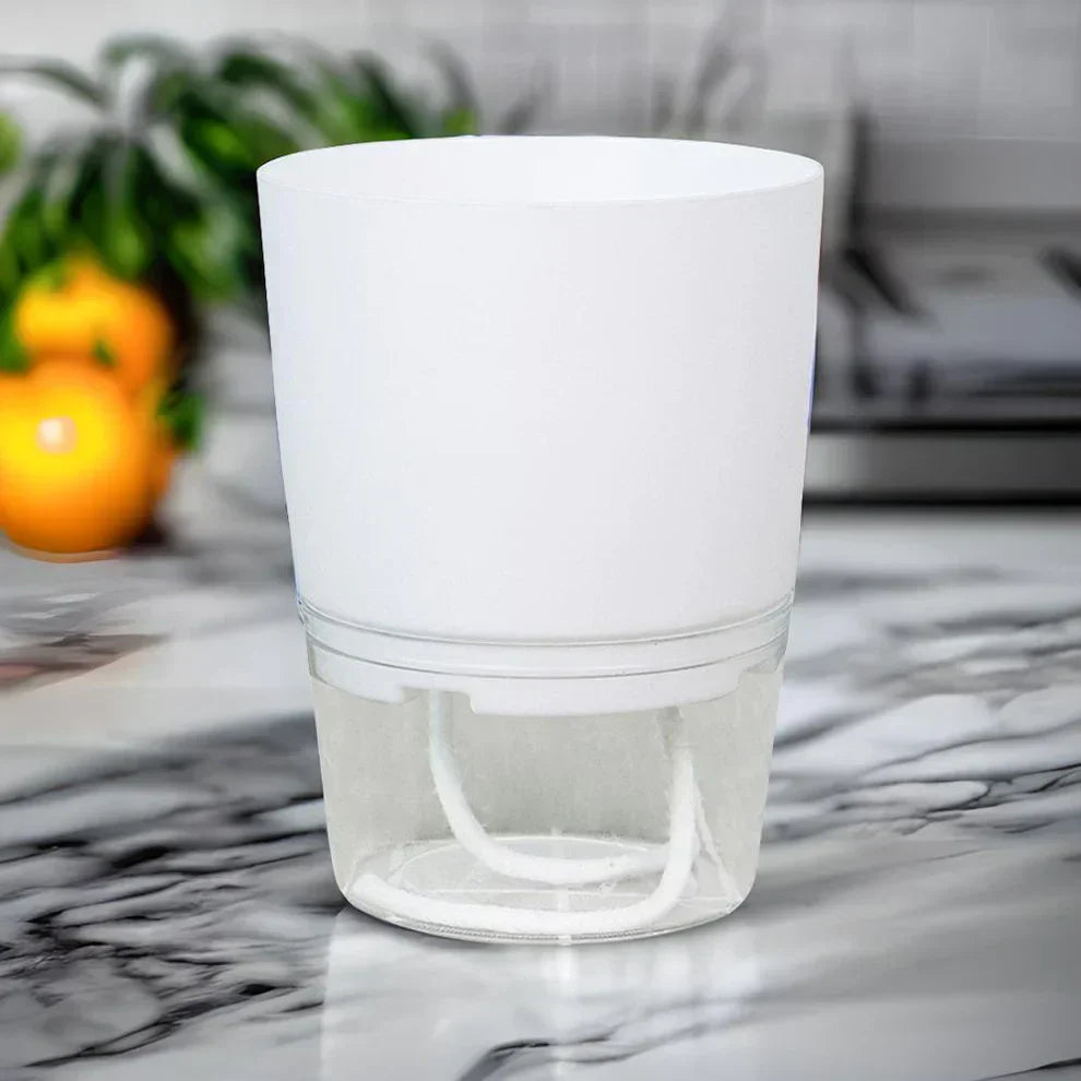 BowLift | Self-Watering Plant Pot - AquaBloom