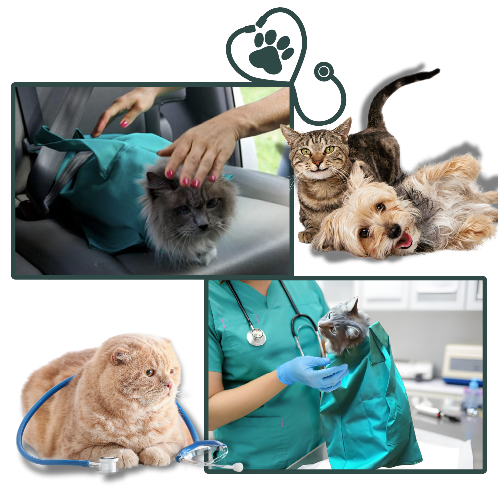 BowLift | Serene Journey Cat Travel Bag