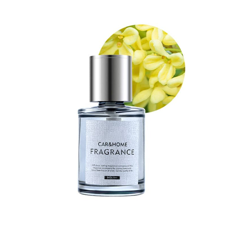 BowLift | Luxury Scent Diffuser for a Fresh Car - AromaDrive