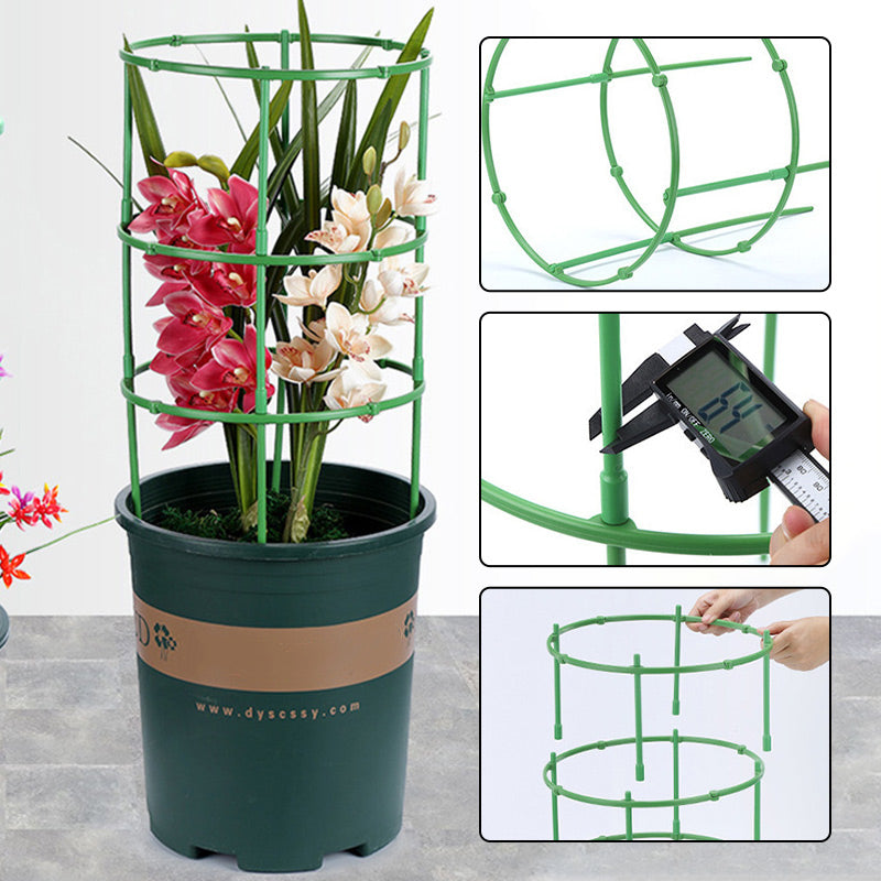 BowLift | PlantBuddy Healthy Plant Growth