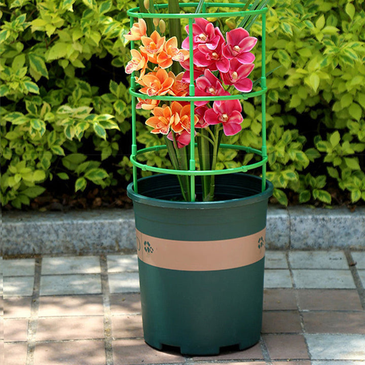 BowLift | PlantBuddy Healthy Plant Growth