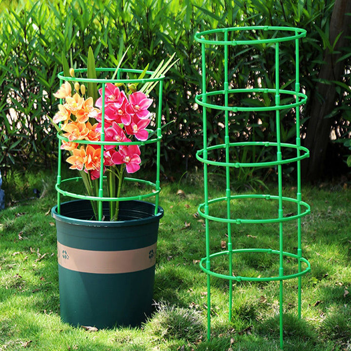 BowLift | PlantBuddy Healthy Plant Growth