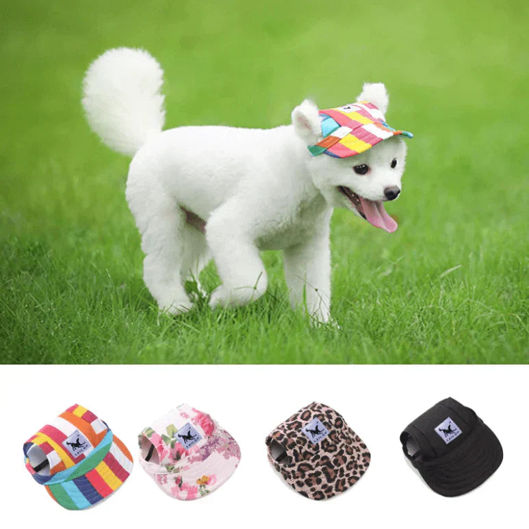 Stylish Round Brim Dog Hat - SunnyPaws Bowlift