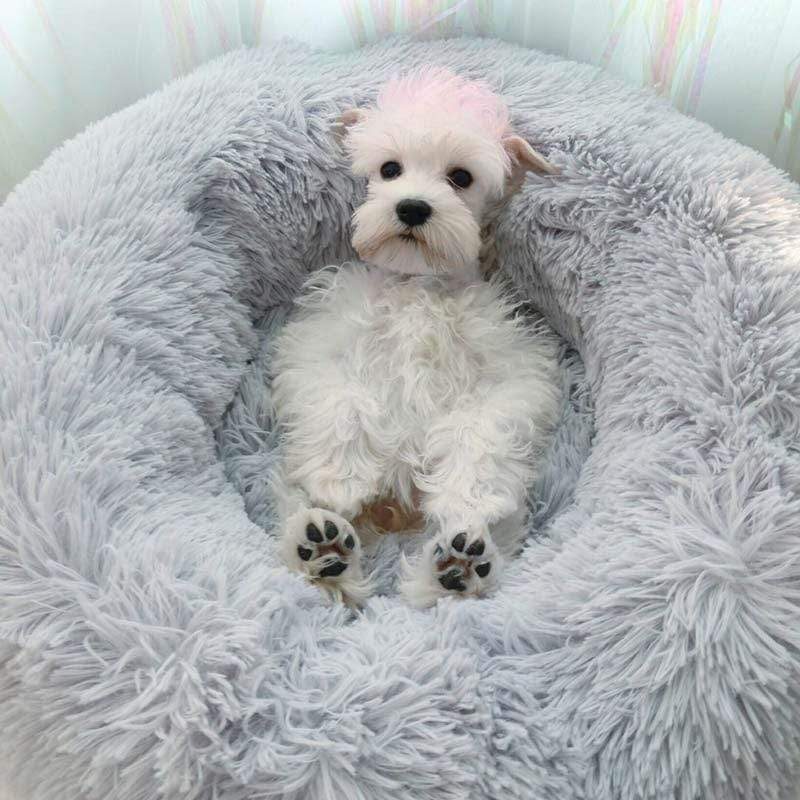 BowLift | Cozy Dog Bed - Large Size, Machine Washable, Calming Design Imitation of Mother's Fur for Ultimate Comfort and Relaxation