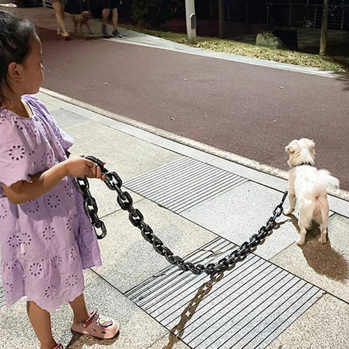 Trendy and Fun Dog Leash - PawChic Bowlift
