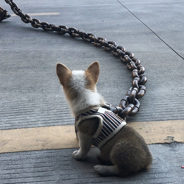 Trendy and Fun Dog Leash - PawChic Bowlift